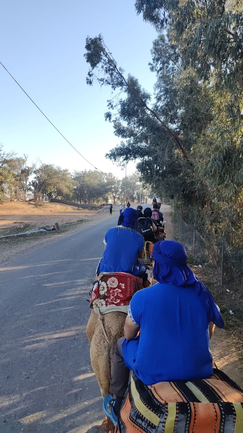 Guests in traditional blue gandouras riding camels near Agadir