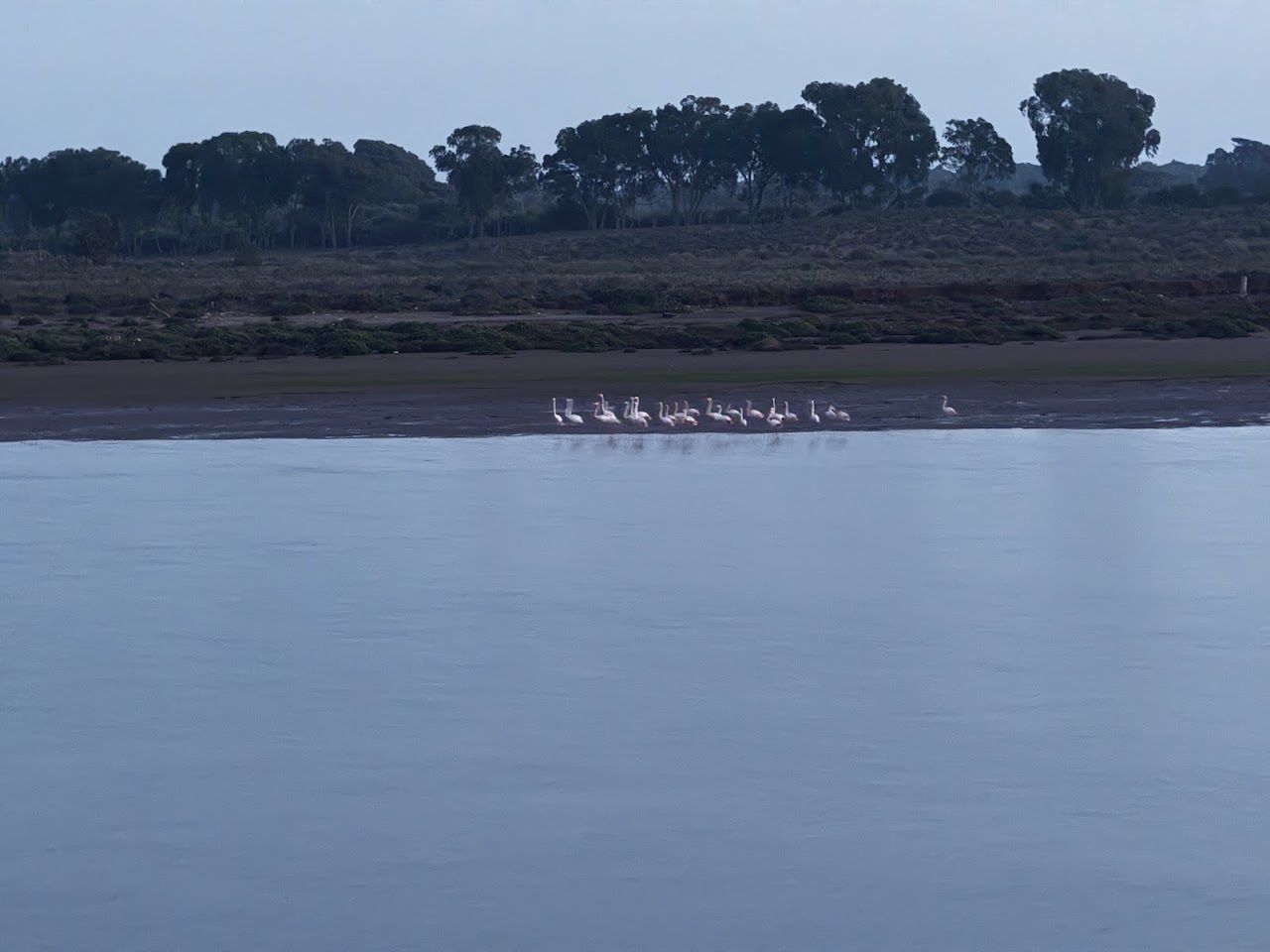 Wide view of the Souss river lagoon at dusk
